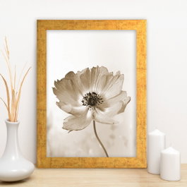 Wallity Cuadro decorativo enmarcado en MDF Multicolor 24 x 29 cm